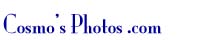Cosmo's Photos Home